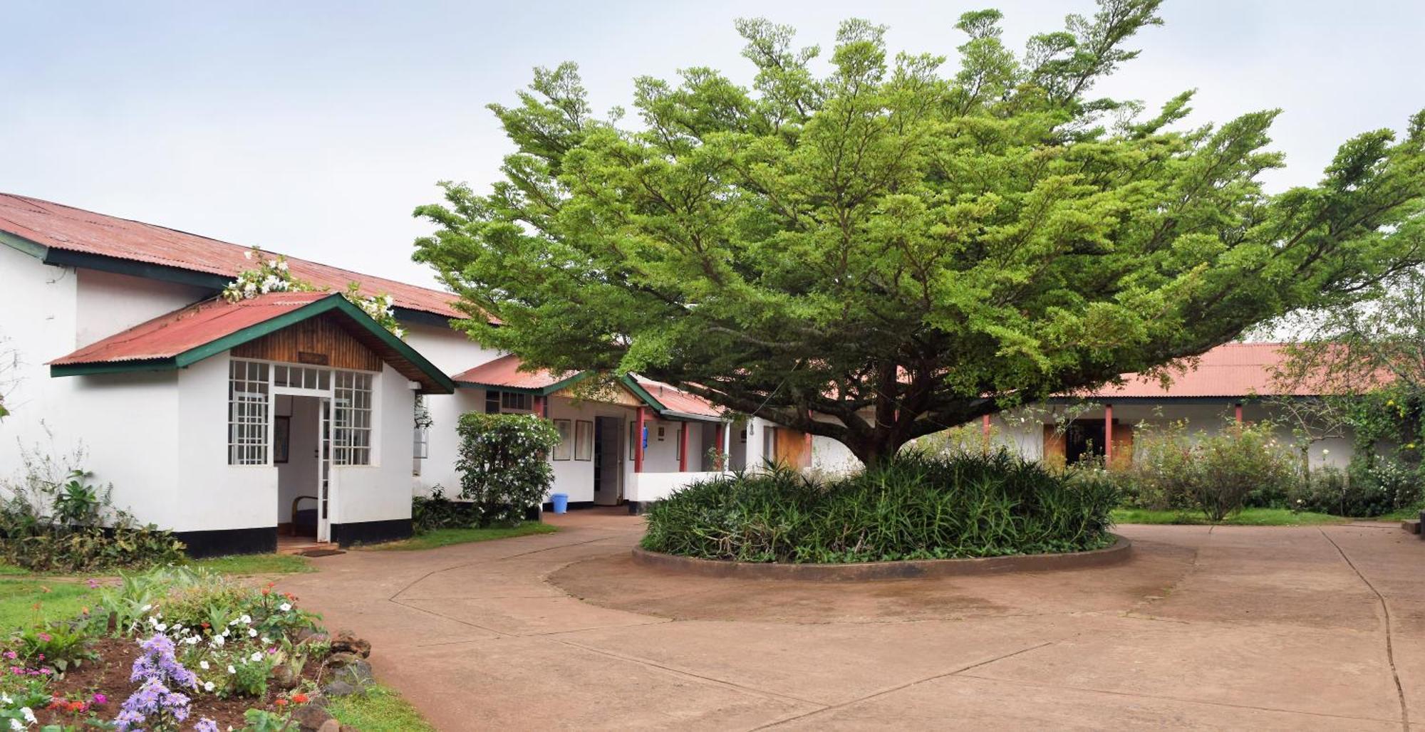 Marangu Hotel ภายนอก รูปภาพ